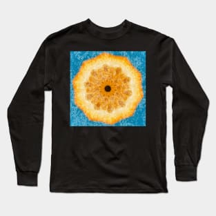 Juicy orange design for kids clothes Long Sleeve T-Shirt